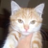 Photo de Cacahouette