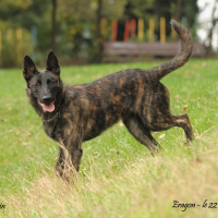 Photo de profil de Eragon