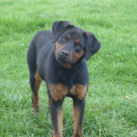 Photo de profil de Sophie