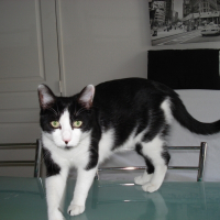 Photo de profil de Denver