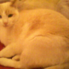 Photo de Mimime