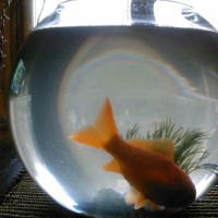 Photo de profil de Maurice