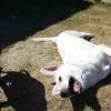 Photo de Keta