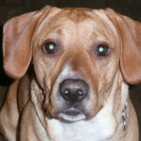 Photo de profil de Kaloé
