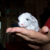 Photo de Indi