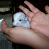 Photo de Mycky
