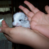 Photo de profil de Mycky