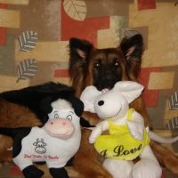 Photo de profil de Voxane