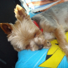 Photo de Sally