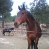 Photo de Favoride miserey