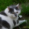 Photo de Bouli