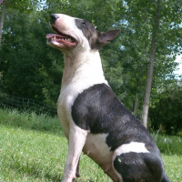 Photo de profil de Chaky