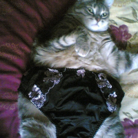 Photo de profil de Capucine