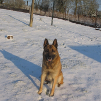 Photo de profil de Sam