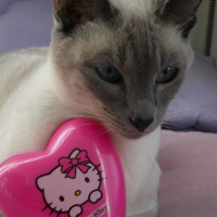 Photo de profil de Vanny