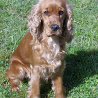 Photo de profil de Aida