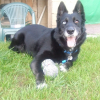Photo de profil de Oceane