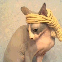 Photo de profil de Vishnu