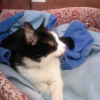 Photo de Mimie