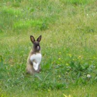 Photo de profil de Nutella