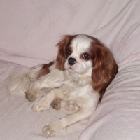 Photo de profil de Ugo