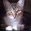 Photo de Lilou