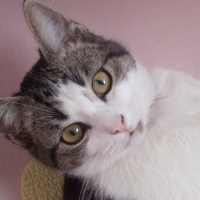 Photo de profil de Fifille