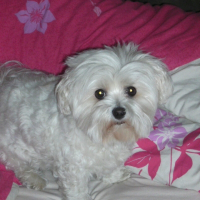 Photo de profil de Sandy (ou fifille )