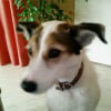 Photo de Ben
