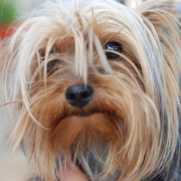 Photo de profil de Coxie