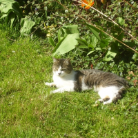 Photo de profil de Praline