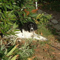 Photo de profil de Ulysse