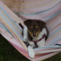 Photo de profil de Channel