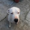 Photo de Bimbo