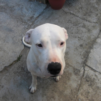 Photo de profil de Bimbo