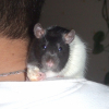 Photo de Razmo