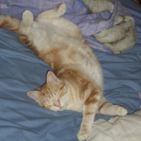 Photo de profil de Denver