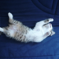 Photo de profil de Eole