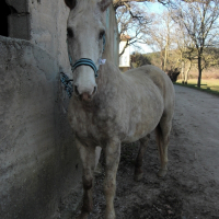 Photo de profil de Paloma