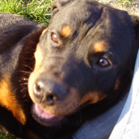 Photo de profil de Kannel