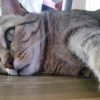 Photo de Nini