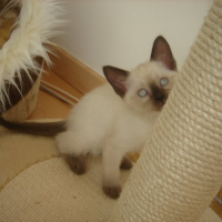 Photo de profil de Aaron