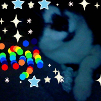 Photo de profil de Fidji