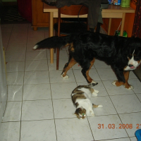Photo de profil de Liloo