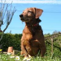 Photo de profil de Poulbo