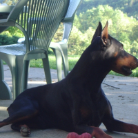 Photo de profil de Ruby o'brain