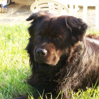 Photo de profil de Romeo