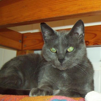 Photo de profil de Luna