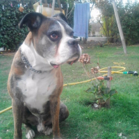 Photo de profil de Sam