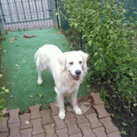 Photo de profil de Domino
